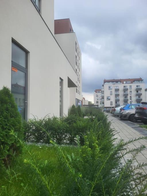 Olive Tree Apartment - Klimatyzacja - Air Conditioning-Self-Check-In Katowice Eksteriør billede